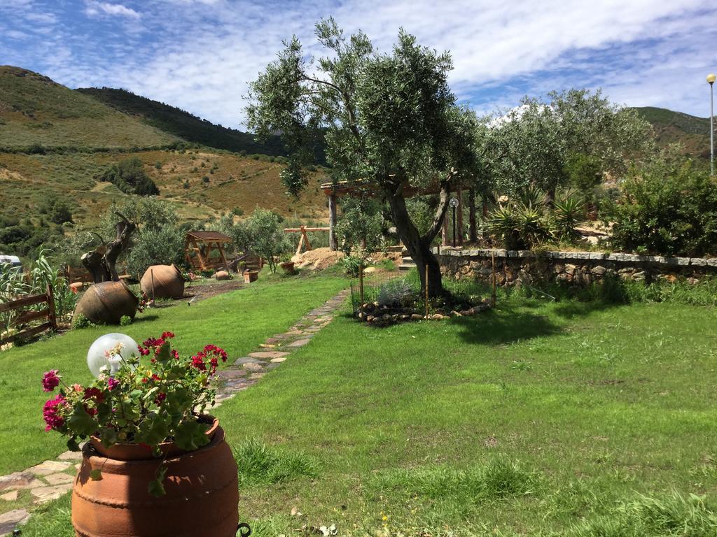 Bed and Breakfast Il Giardino Di Daniela à San Teodoro  Extérieur photo