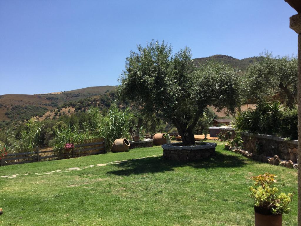 Bed and Breakfast Il Giardino Di Daniela à San Teodoro  Extérieur photo
